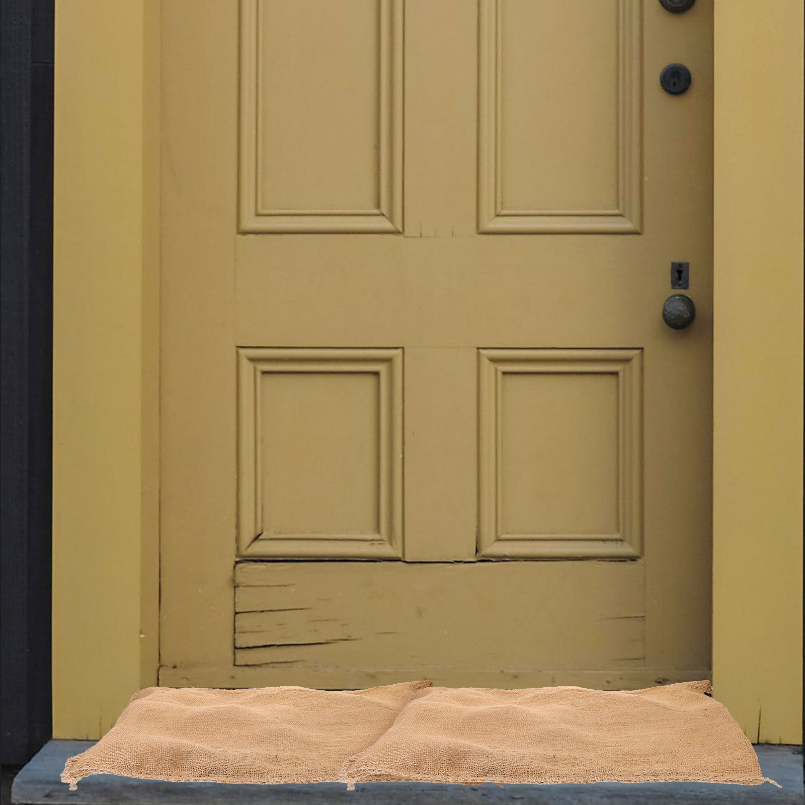 Absorbent Flood Prevention Wat - Flood Barrier Bag review and price